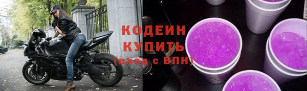 хмурый Инсар