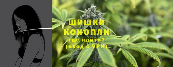 тгк Иннополис