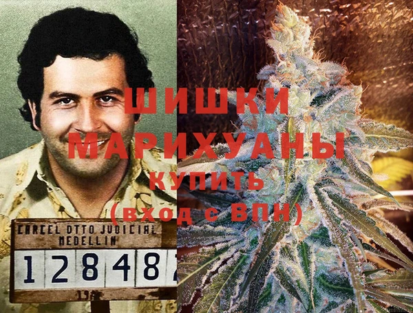 хмурый Инсар