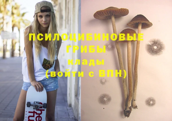 тгк Зерноград